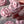 Load image into Gallery viewer, pink rose