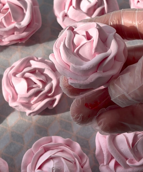 pink rose