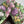 Load image into Gallery viewer, Chocolate cake decorated with colorful buttercream tulips and other spring flowers, one slice cut out.