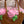 Load image into Gallery viewer, Handmade marshmallow flowers basket