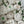 Load image into Gallery viewer, 22 white flowers set