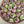Load image into Gallery viewer, 30 purple tulips gift
