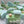 Load image into Gallery viewer, BABY TRANSPORT set