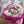 Load image into Gallery viewer, Handmade marshmallow tulip bouquet for wedding