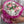 Load image into Gallery viewer, edible wedding flowers