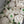 Load image into Gallery viewer, 22 white flowers set