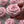 Load image into Gallery viewer, pink rose