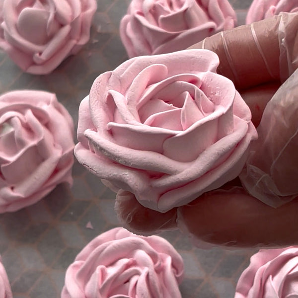 pink rose