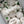 Load image into Gallery viewer, 22 white flowers set