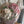 Load image into Gallery viewer, edible wedding flowers