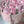 Load image into Gallery viewer, Unique edible flower arrangement for special occasions