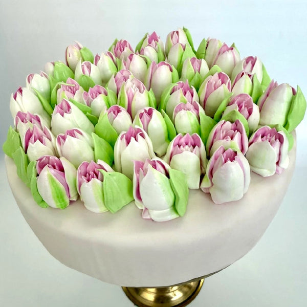 Small Pink Tulips