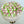 Load image into Gallery viewer, Small Pink Tulips