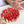 Load image into Gallery viewer, Small Red Tulip