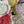 Load image into Gallery viewer, Mix tulips bouquet