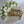 Load image into Gallery viewer, Small white tulip