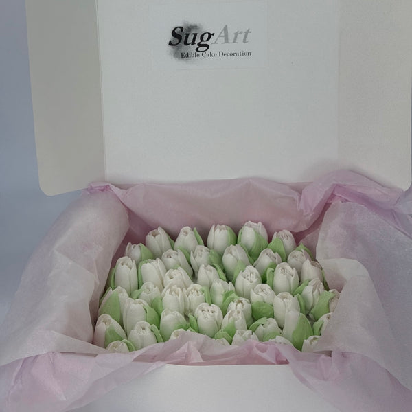 Small white tulips
