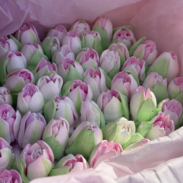 Small Pink Tulips