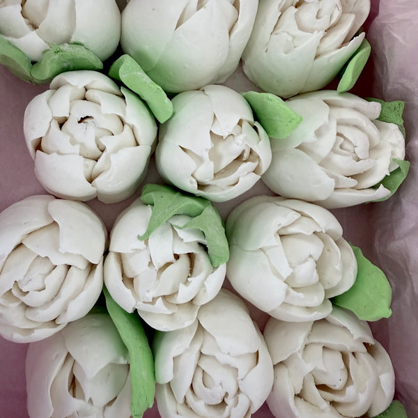 Large white tulip