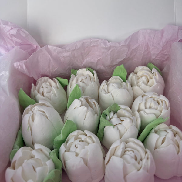 Large white tulip