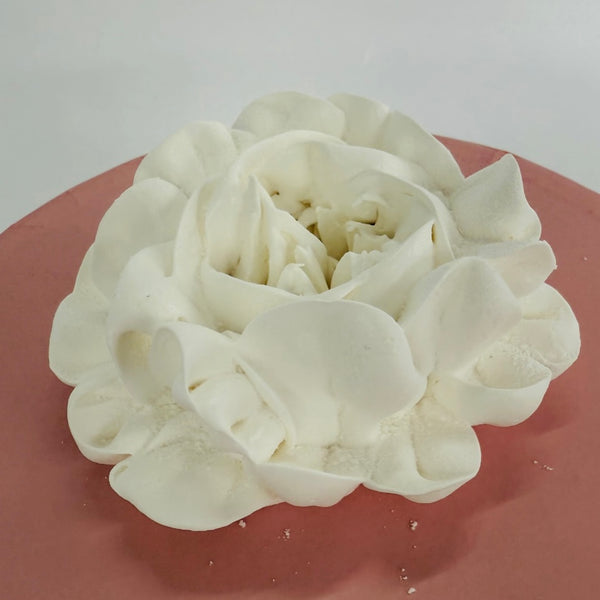 Large white peony