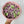 Load image into Gallery viewer, 12 large purple tulips gift