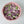 Load image into Gallery viewer, 16 mix tulips gift purple