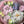 Load image into Gallery viewer, 10 flowers gift