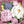 Load image into Gallery viewer, 10 flowers gift