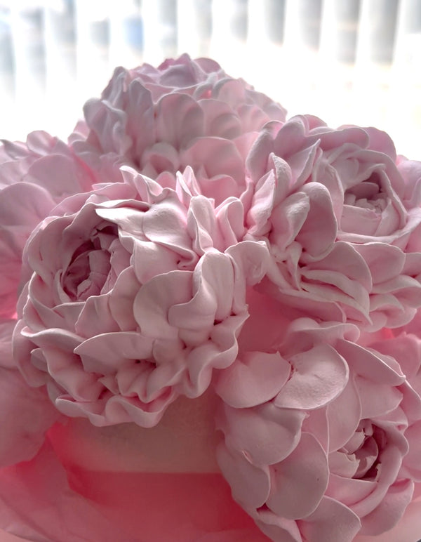 Large pink peony