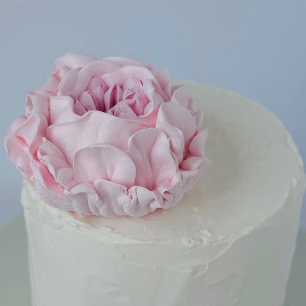 Large pink peony
