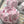 Load image into Gallery viewer, Large pink peony
