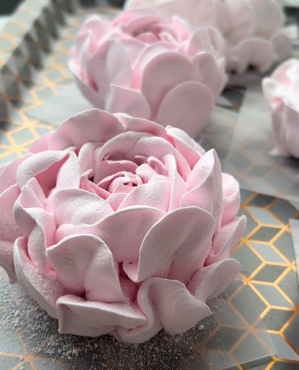 Large pink peony