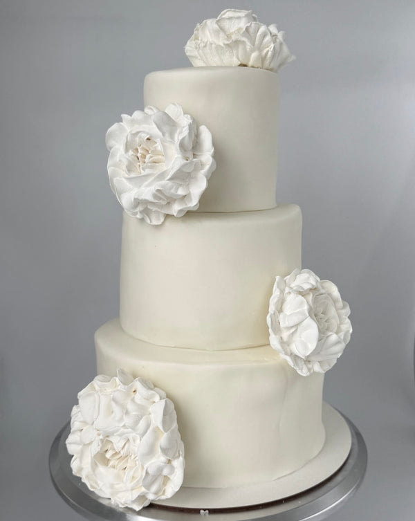 Large white peony