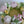 Load image into Gallery viewer, Marshmallow flower bouquet cake with pastel tones — looks like fresh blooms, tastes even better.