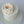 Load image into Gallery viewer, Large cream peony