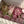 Load image into Gallery viewer, 22 pink flowers set