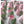 Load image into Gallery viewer, 1 Large pink tulips