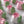 Load image into Gallery viewer, 1 Large pink tulips