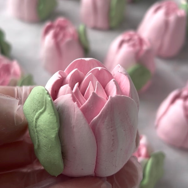 Large pink tulip