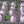 Load image into Gallery viewer, Large purple tulip