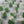 Load image into Gallery viewer, Large white tulip