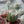 Load image into Gallery viewer, Large white tulip