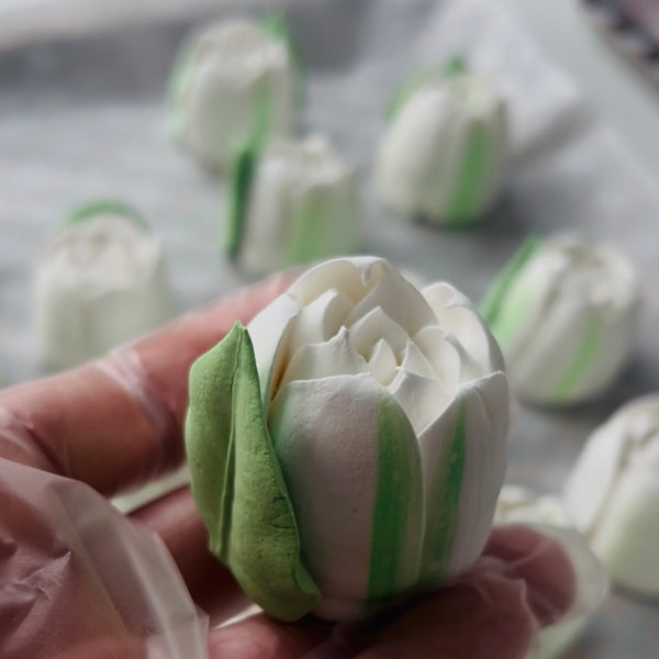Large white tulip