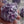 Load image into Gallery viewer, Hydrangea flower