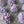 Load image into Gallery viewer, Hydrangea flower