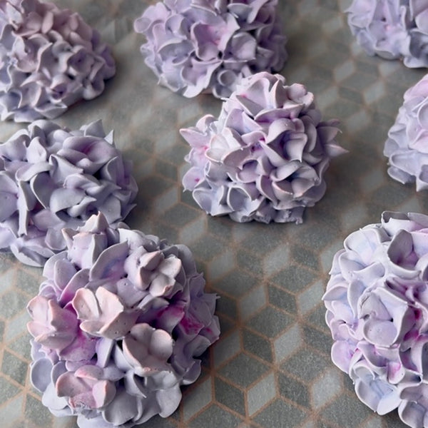 Hydrangea flower