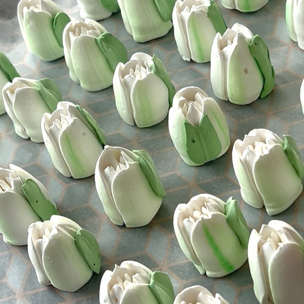 Small white tulip