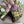 Load image into Gallery viewer, Spring mix cake