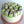 Load image into Gallery viewer, Small Purple Tulip